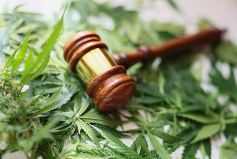 Image is of a judge's gavel laying on top of a pile of marijuana leaves, concept of is weed legal in South Carolina