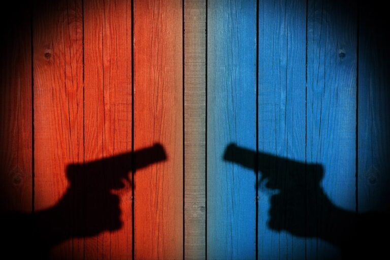 Image is of opposing gun shadows on a wall, symbolizing legal conflict surrounding domestic violence convictions