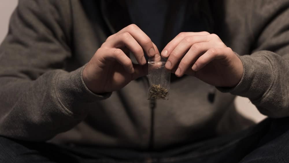 Image is of an individual holding a small bag containing suspected marijuana, concept of an Aiken drug possession lawyer addressing possession-related allegations.