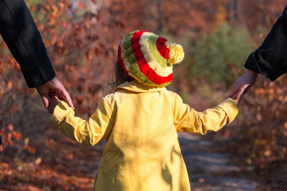 Image is of a child walking outdoors while holding both parents' hands, illustrating shared parenting time under joint custody arrangements.